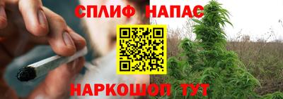 сатива Севастополь