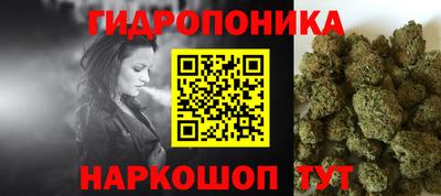 стафф Свободный