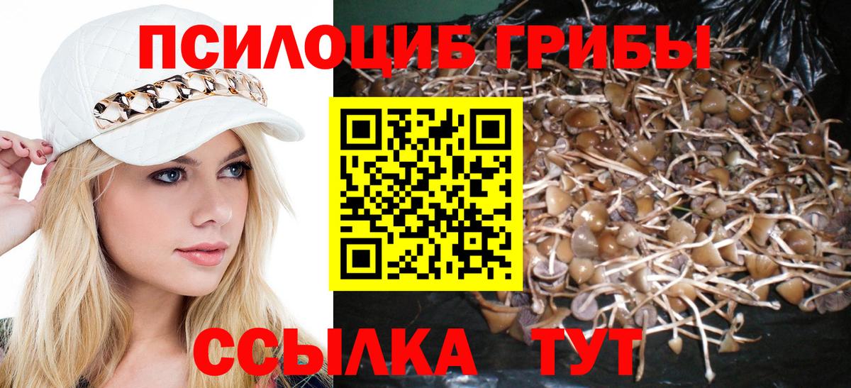 Псилоцибиновые грибы ЛСД  Вход с VPN  Новочеркасск  Галлюциногенные грибы Psilocybine cubensis 